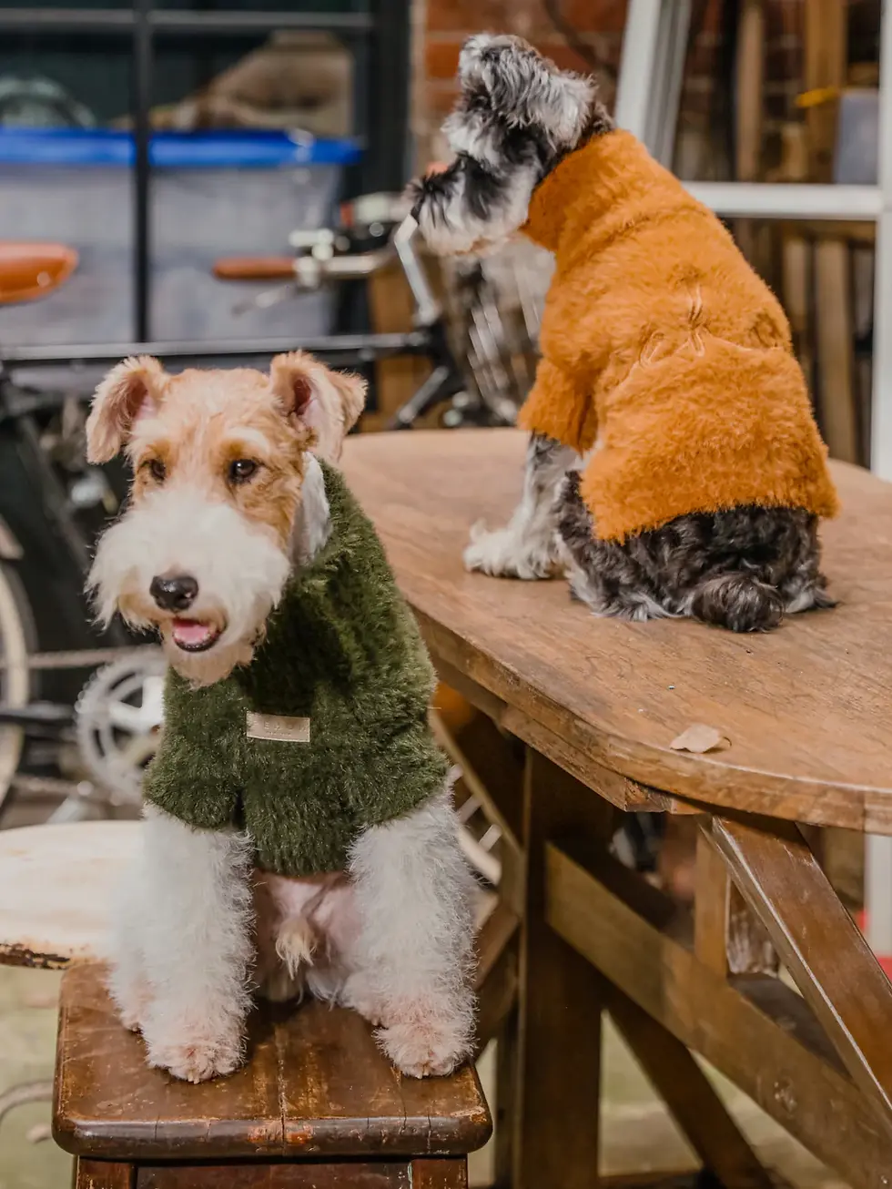 Thumbnail: Eskimo Fuzzy Sweater - Orange