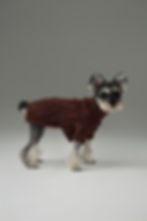 Thumbnail: Glacier Pet Sweater - Burgundy