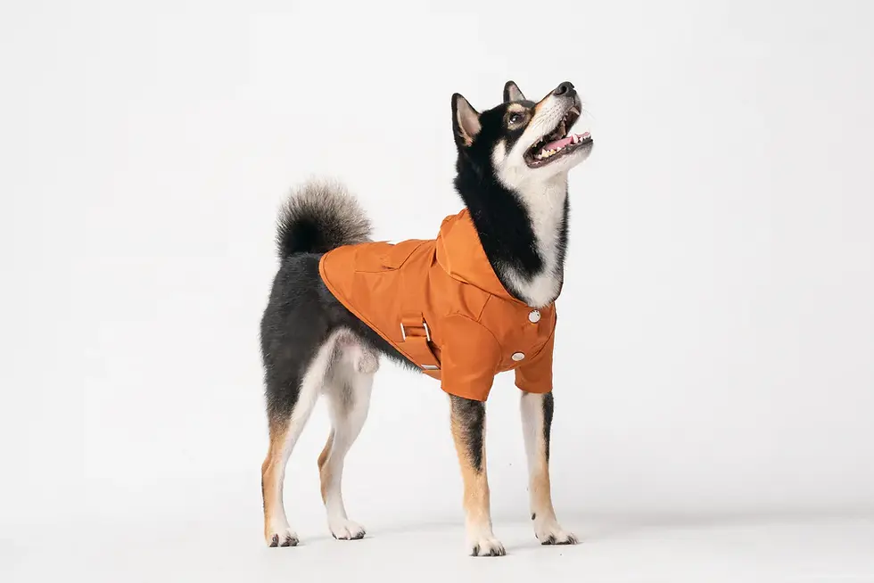 Thumbnail: Bowery Raincoat - Orange
