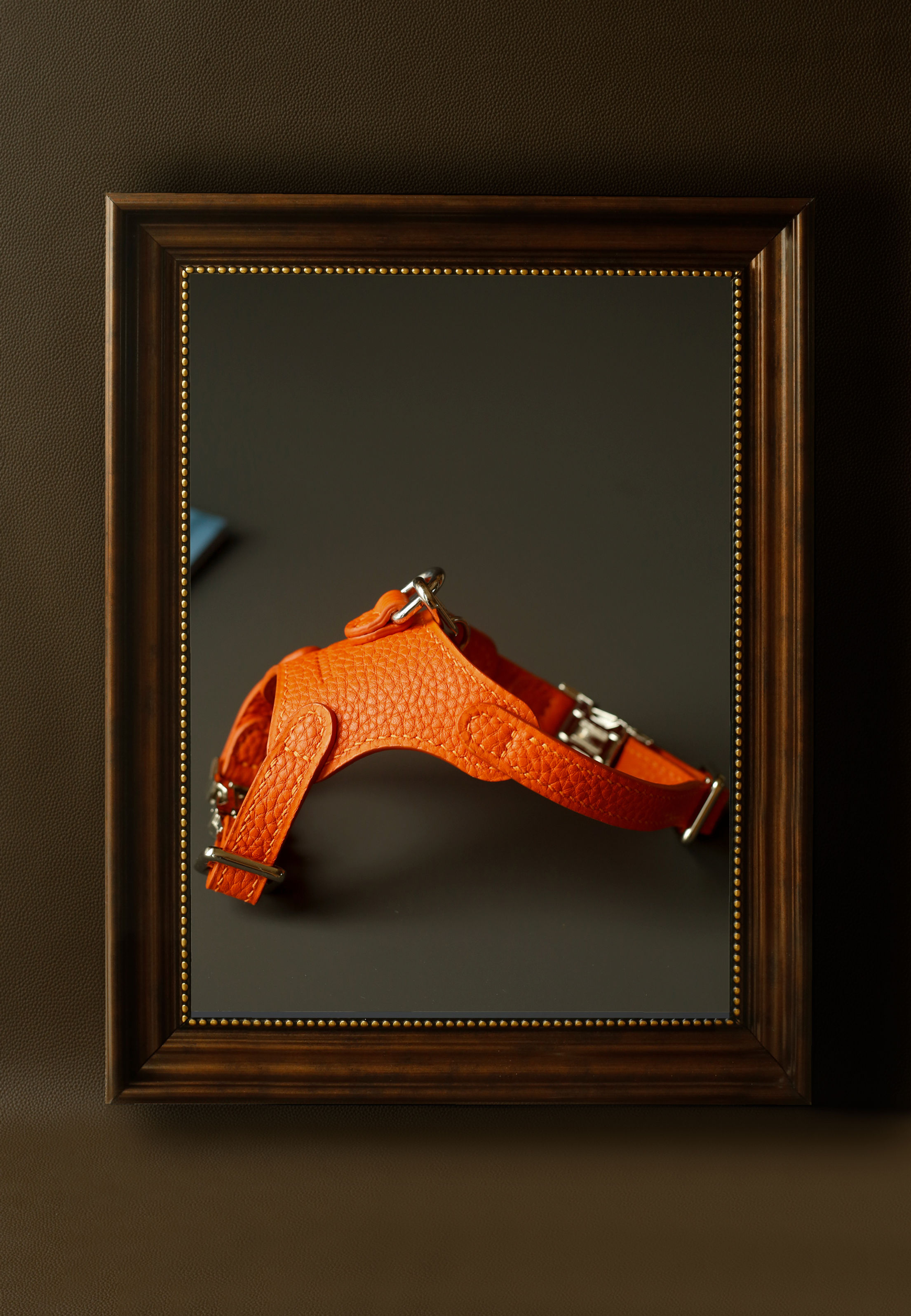 Bone 1.0 Harness - Odessa Orange