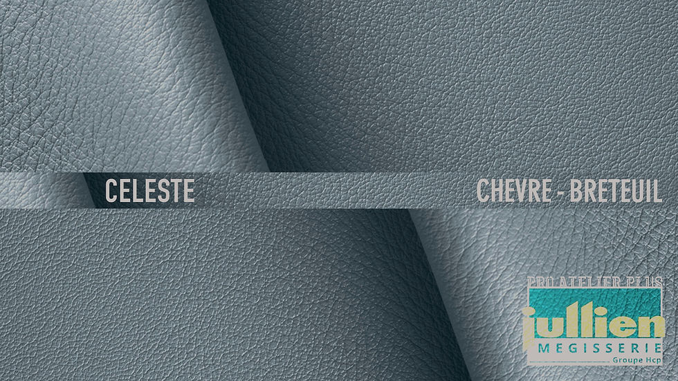 Thumbnail: Megisserie Jullien Breteuil Chevre | Blues