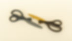 Thumbnail: Raymay Swingcut Scissors