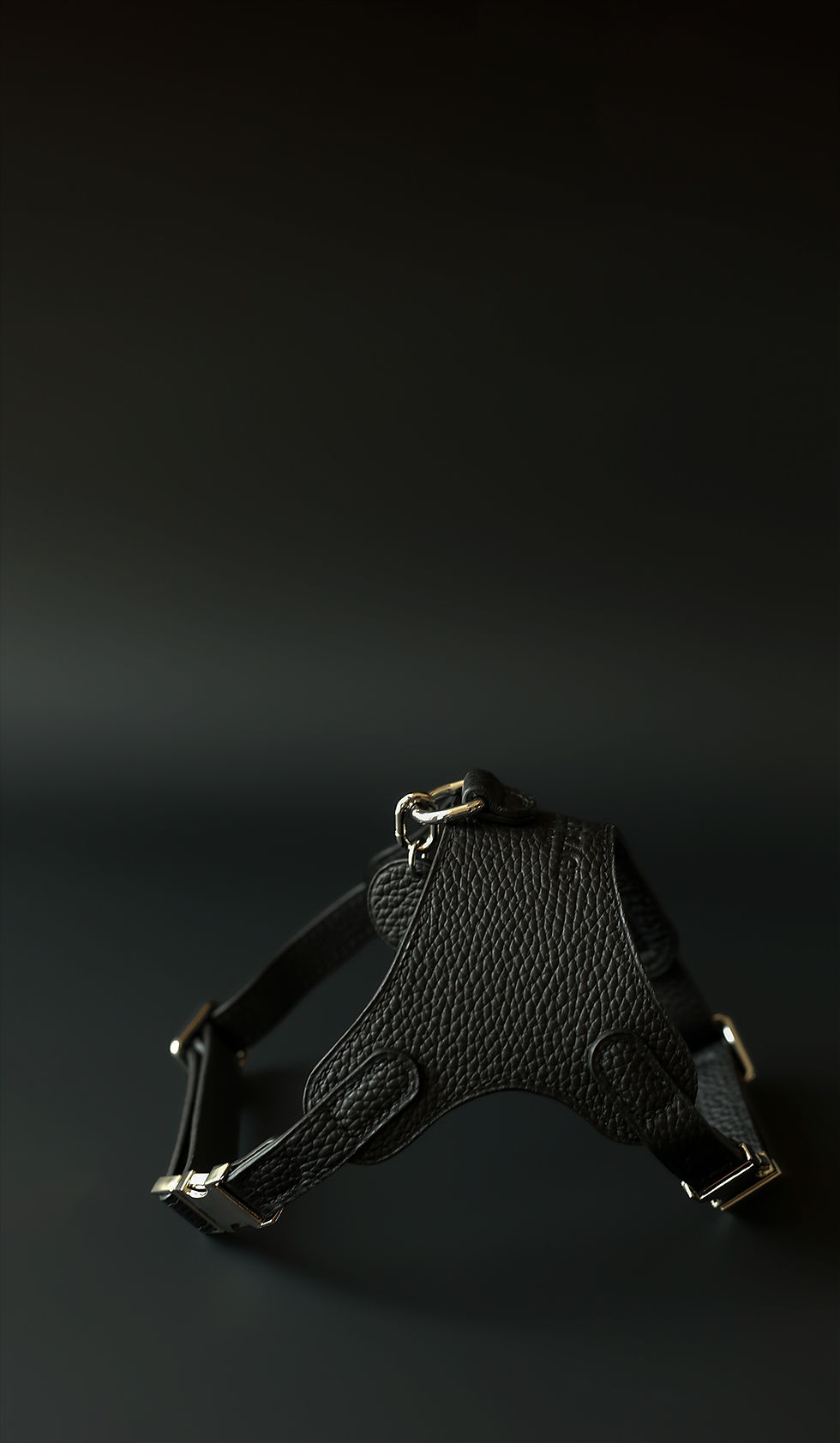 Thumbnail: Bone 1.0 Harness - Odessa Black