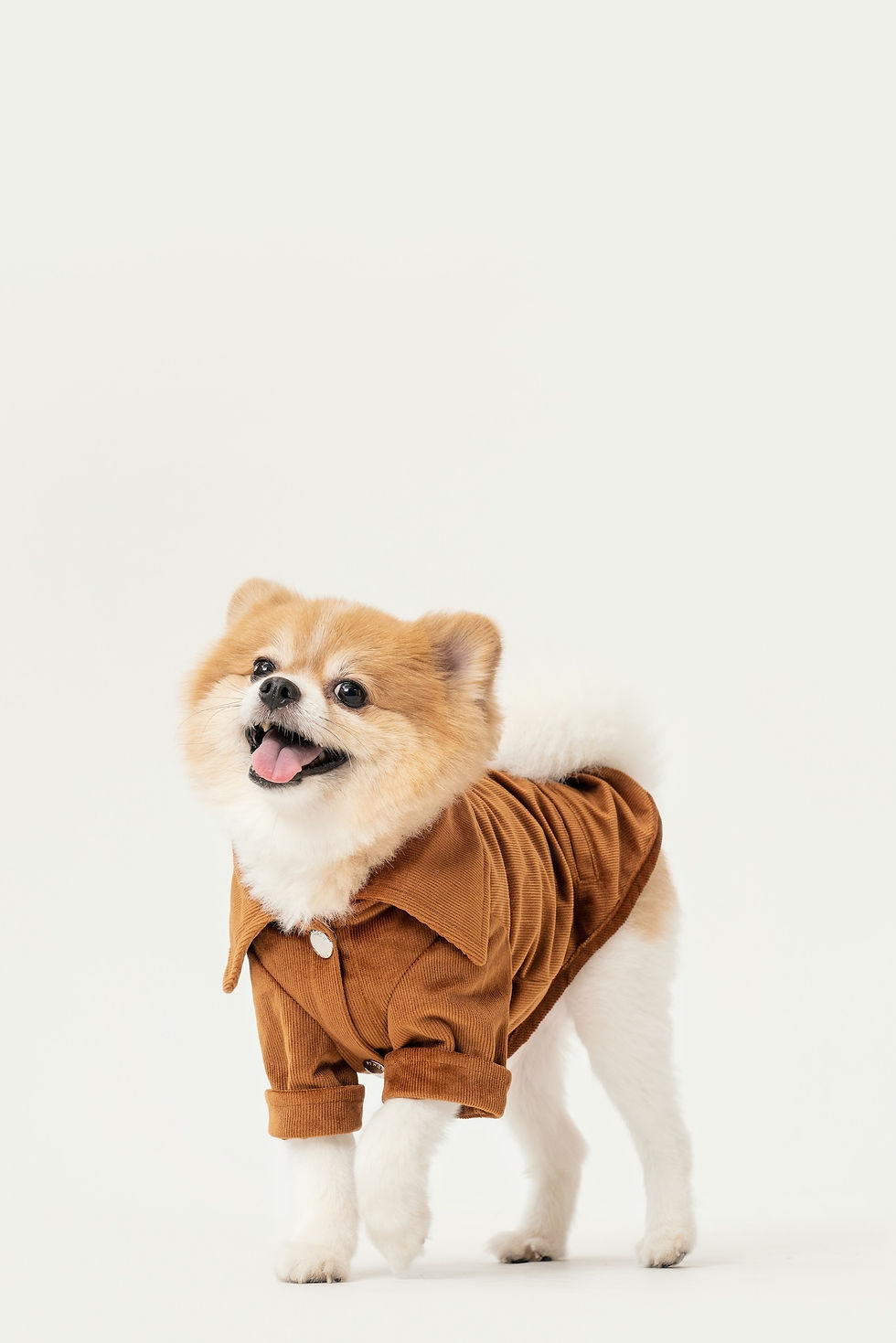 Thumbnail: Stainway Shirt - Orange