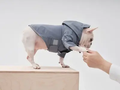 Thumbnail: Tribeca Adjustable Velcro Raincoat - Blue