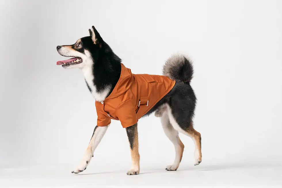 Thumbnail: Bowery Raincoat - Orange