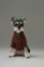 Thumbnail: Glacier Pet Sweater - Burgundy