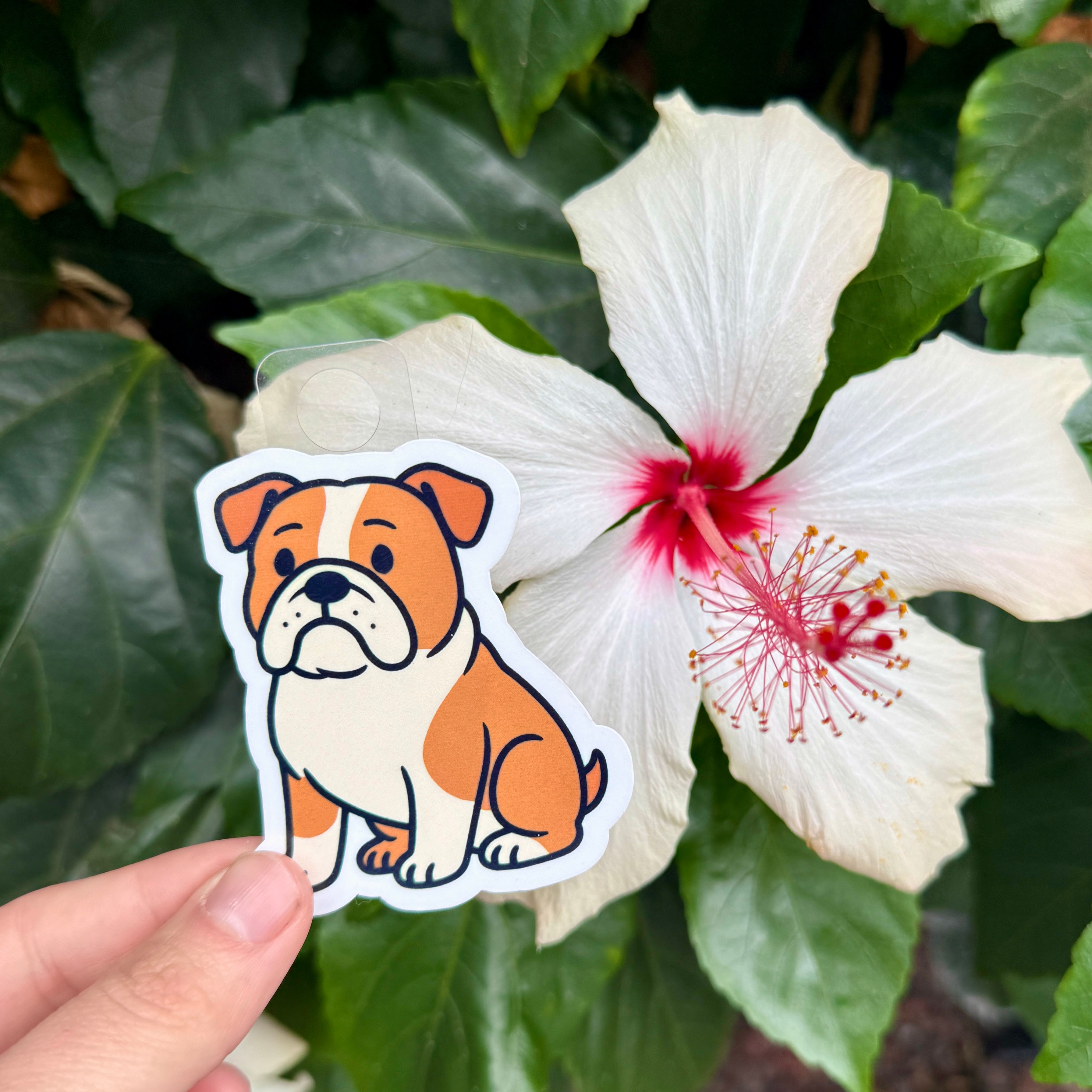 English Bulldog Sticker