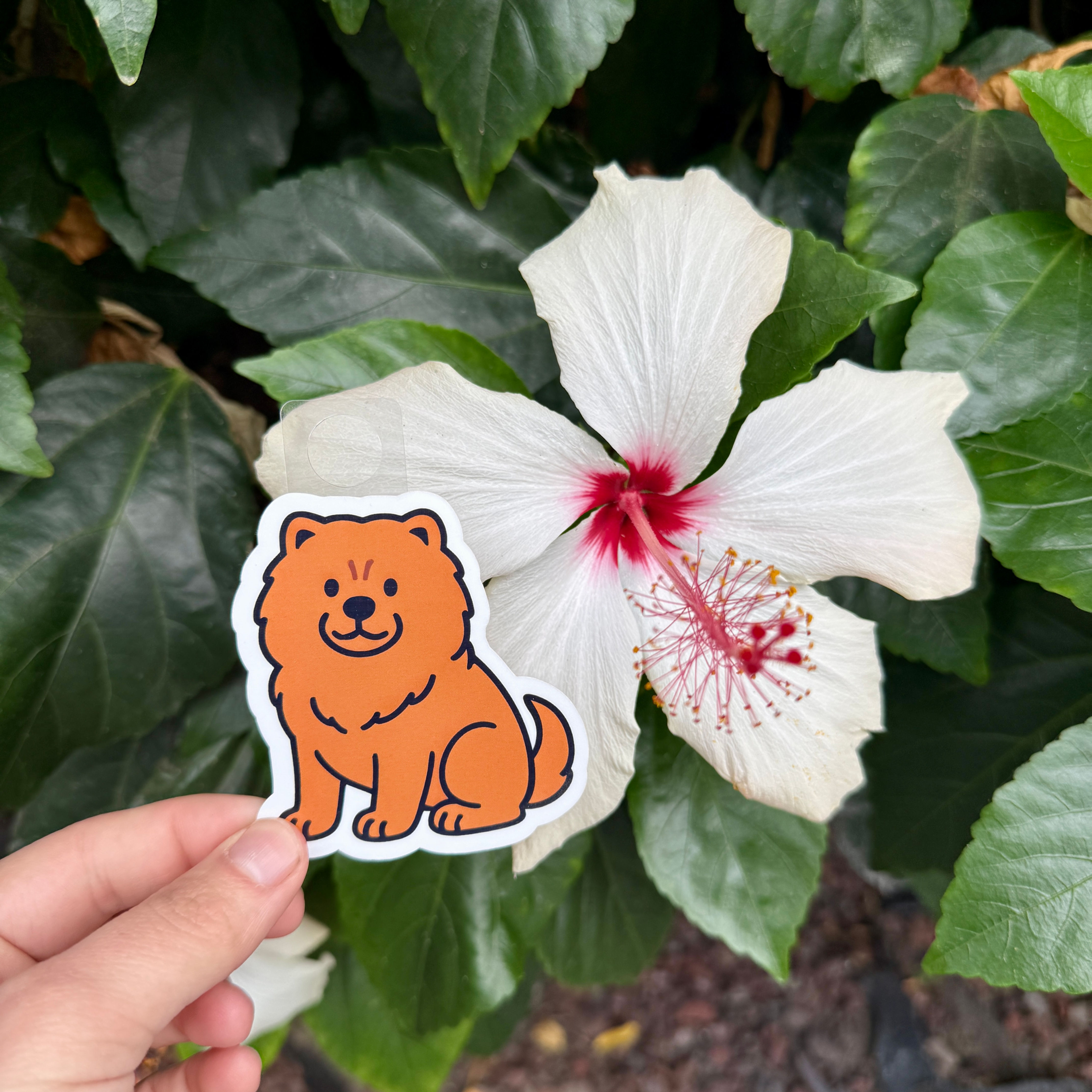 Chow Chow Sticker