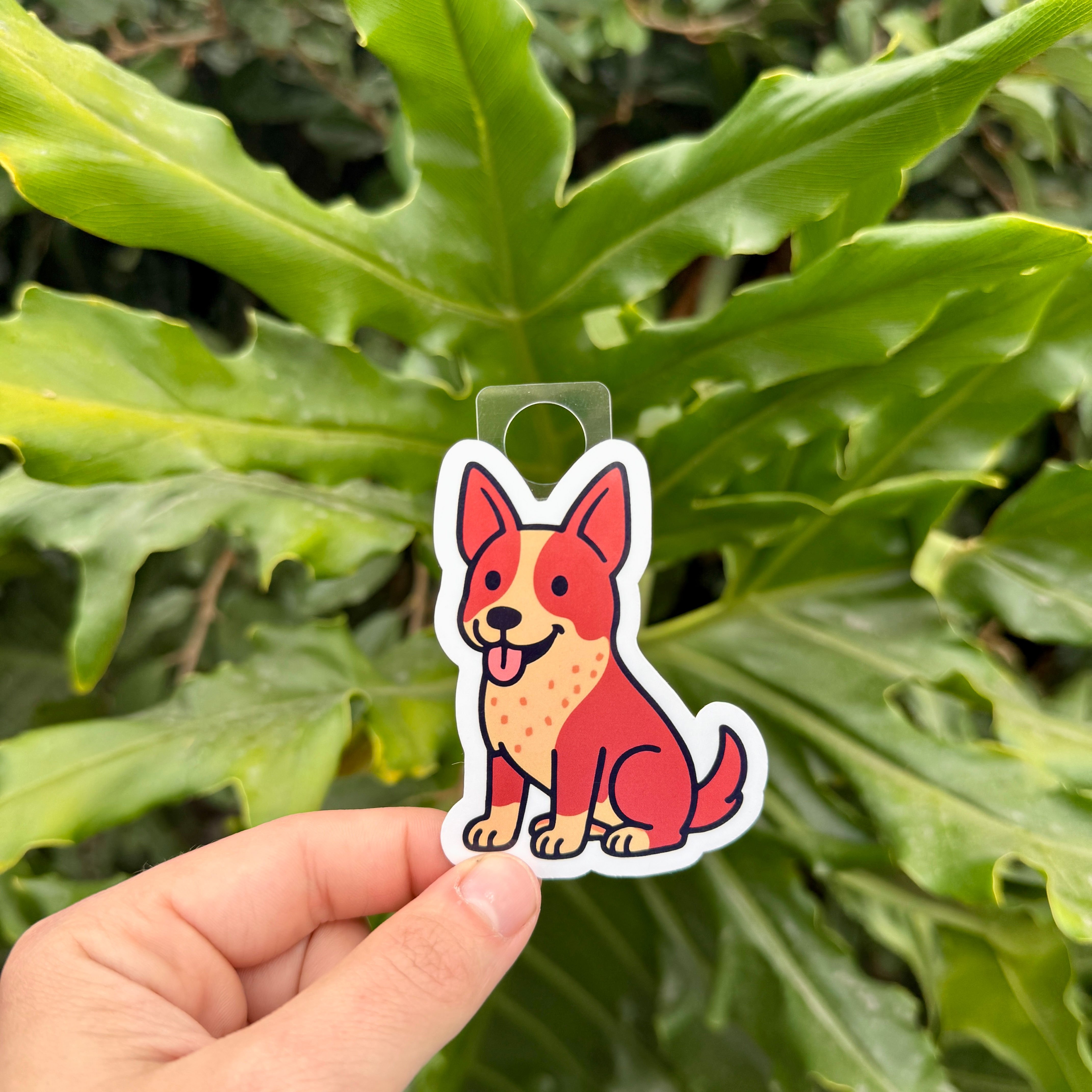 Red Heeler "Ginny" Sticker