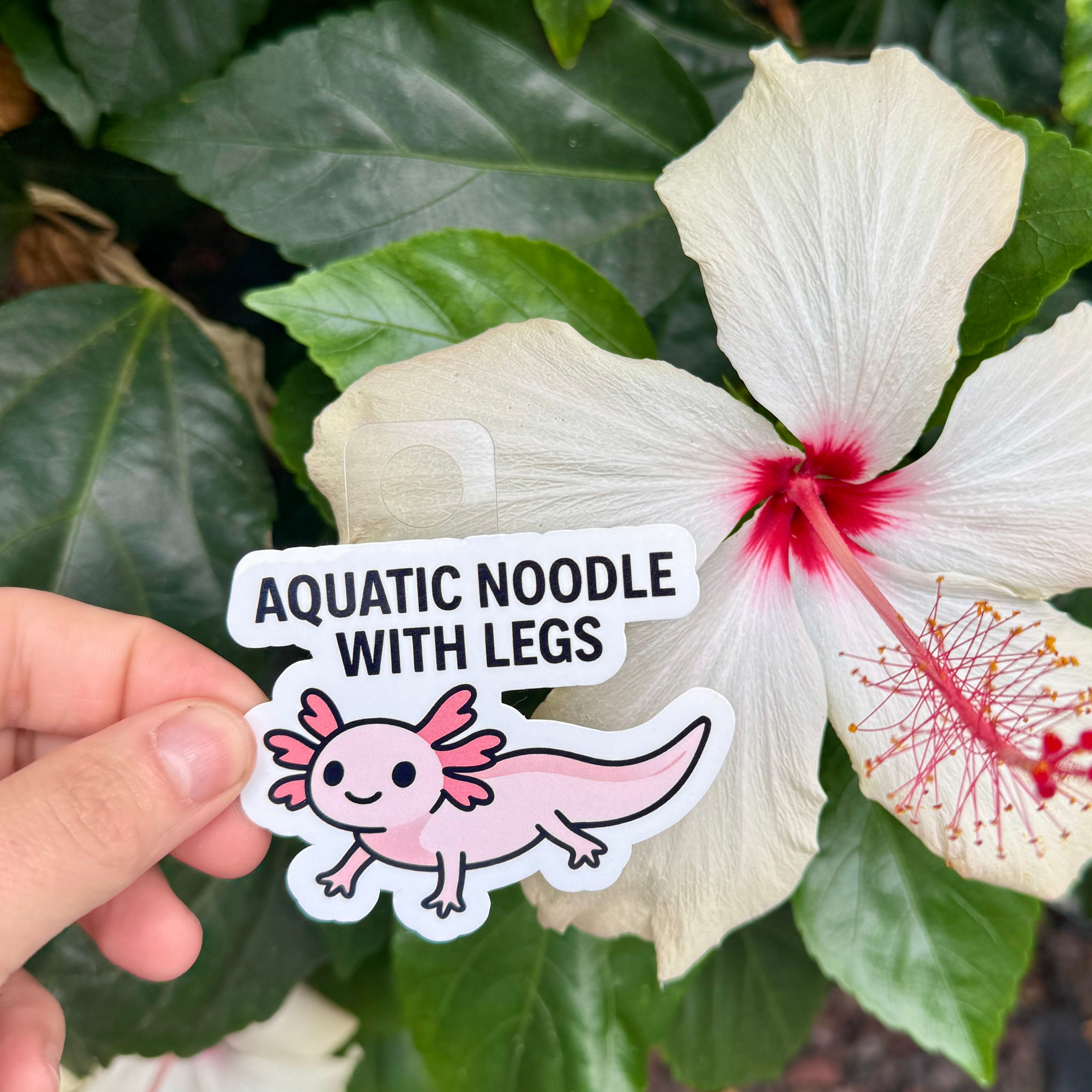 Aquatic Noodle With Legs Axolotl Sticker