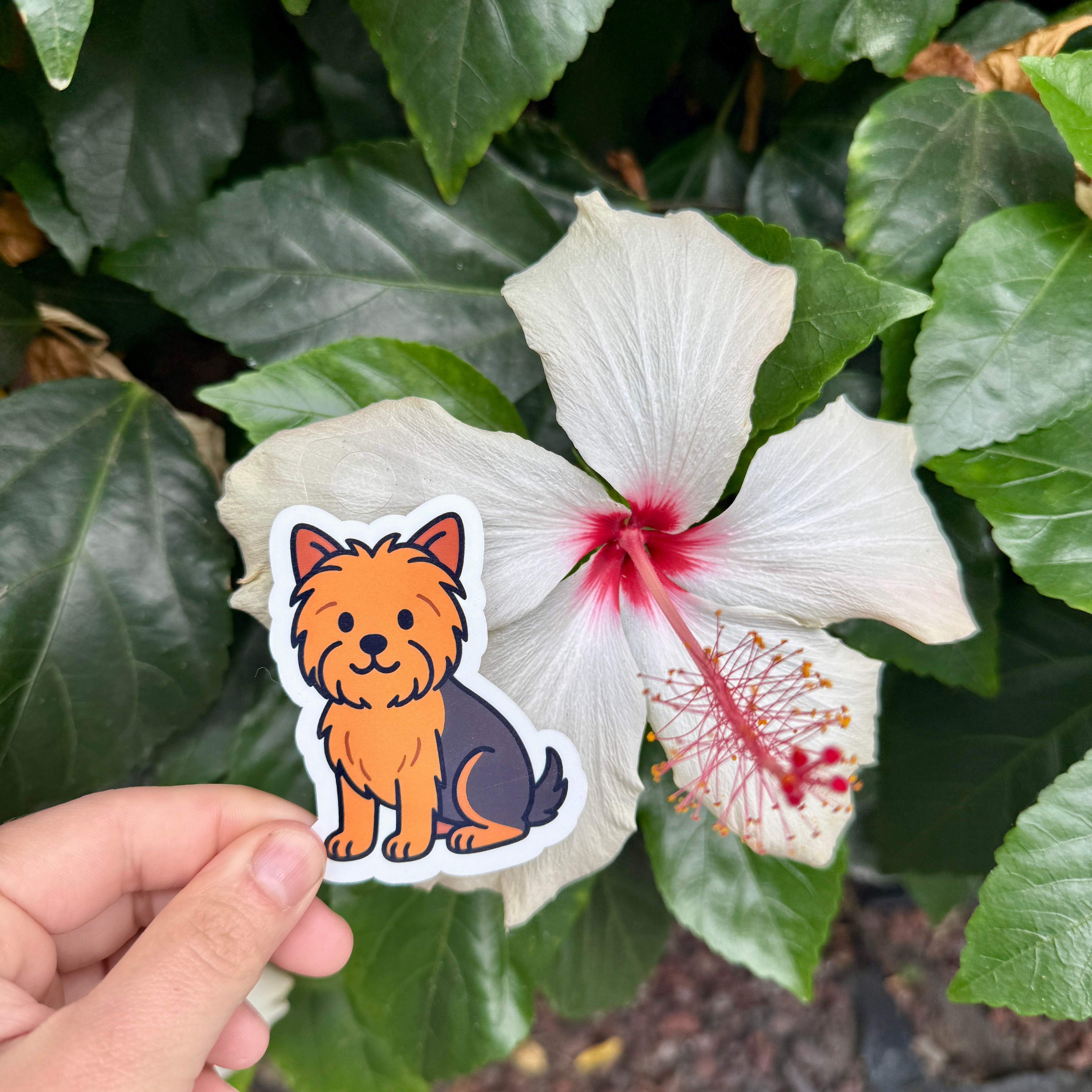 Yorkshire Terrier Sticker