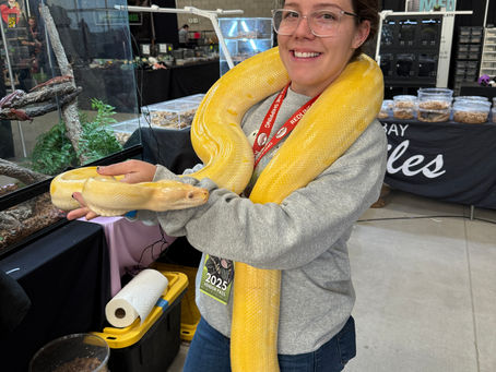 Hi, I’m Claudia — and This Is Wilcox Customs (Custom Waterproof Stickers, Dogs, and Zero Wasted Misprints)