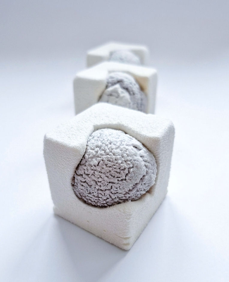 Vanilla Bean Choux Cube