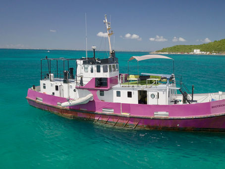 TRAWLER FOR SALE