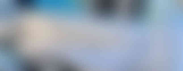 Wellcraft scarab 32 à vendre