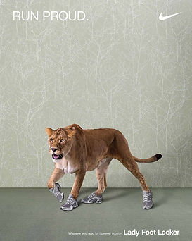 lioness-book.jpg