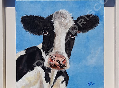 Sassy (30 x 30) WM.jpg