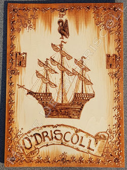O'Driscoll Book Cover