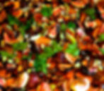 Sweet Potato, Fig and Spring Onion with a Balsamic Glaze