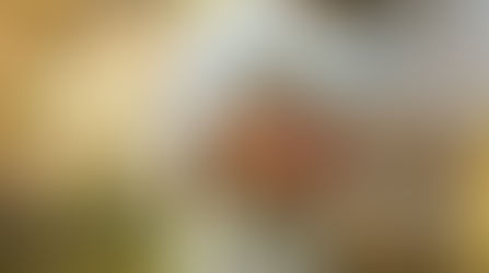 Jesus wants to give you rest