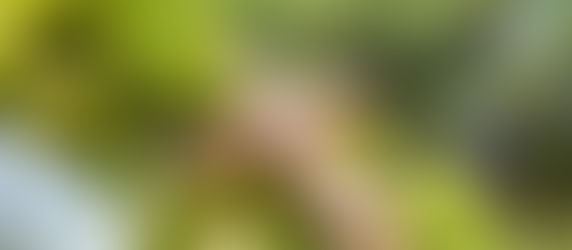 God only desires the very best for your life