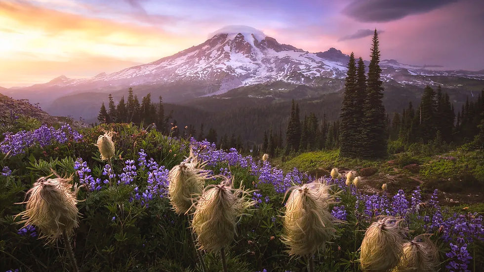 Only fools say in their hearts, "There is no God."