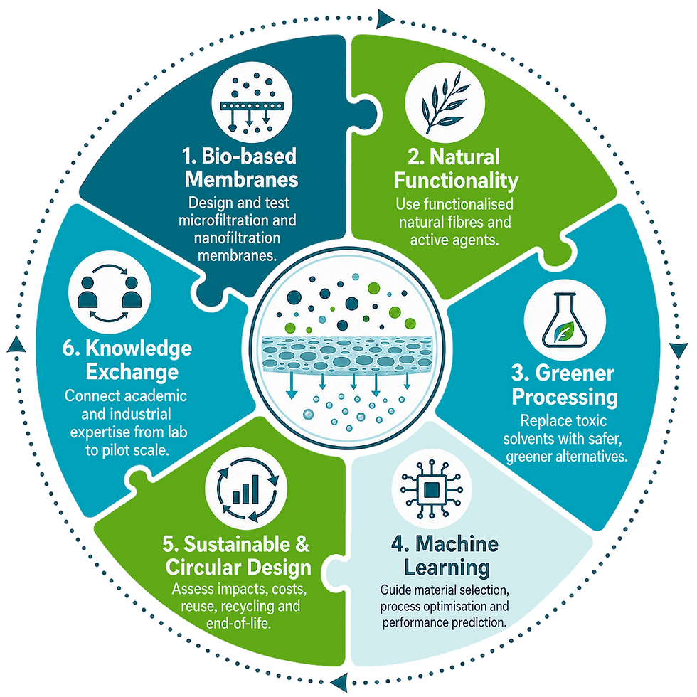 The Green-Mem approach - infographic