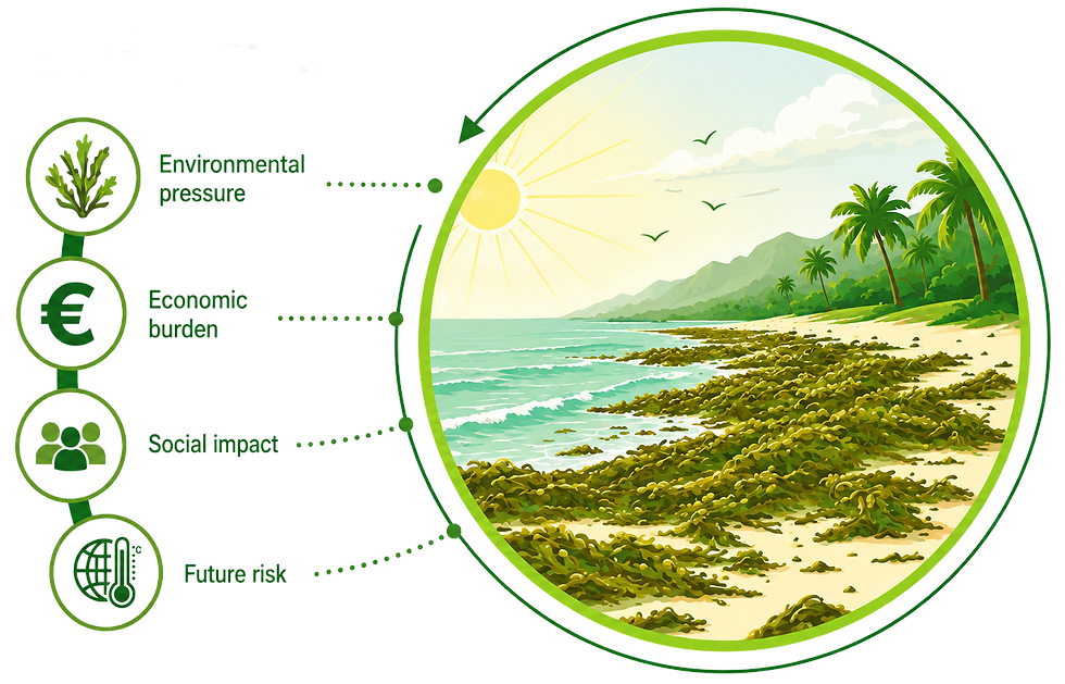 Infographic of background to SARGEX