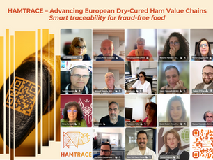 Six months in, HAMTRACE puts proof behind provenance