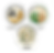 new challenge.png
