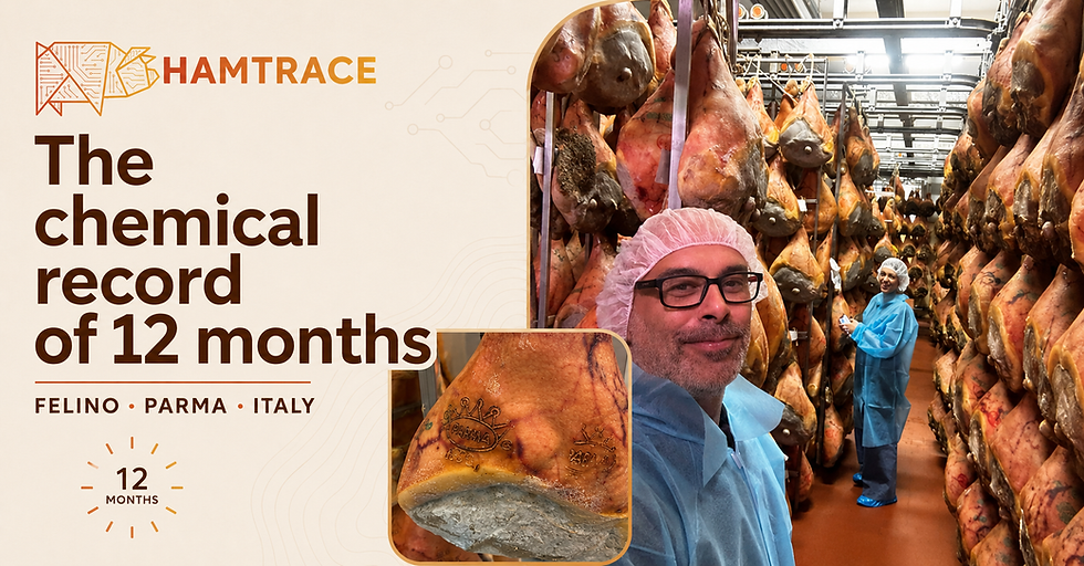 HAMTRACE visits Prosciuttificio Martini Stagionatura: mapping the chemistry of Prosciutto di Parma ageing