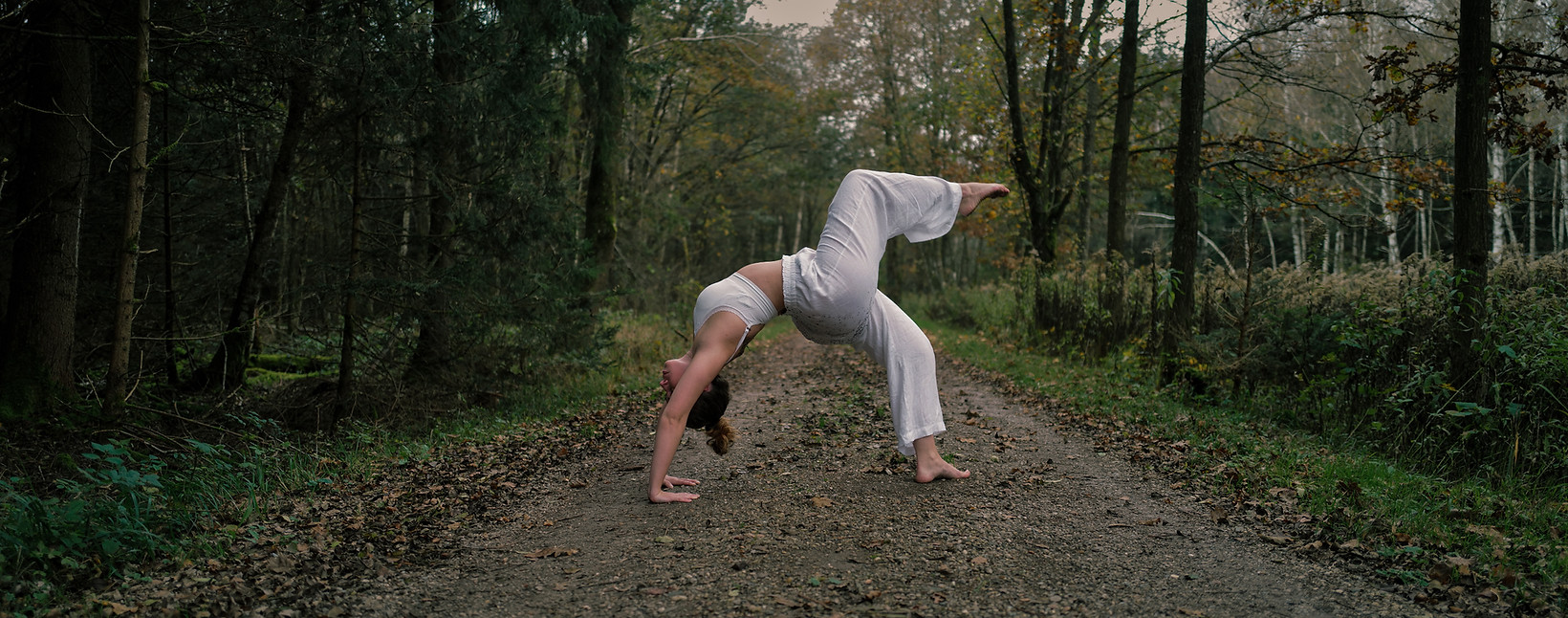 Urdhva Dhanurasana - Wheel