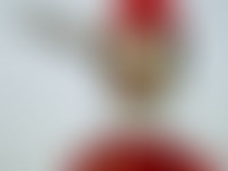 The Fight Against the V8 Supercars Track: A Community's Stand