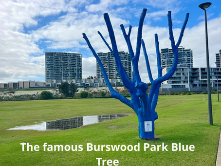 The Case Against a V8 Supercar Track in Perth: Supercar Track Opposition Heats Up