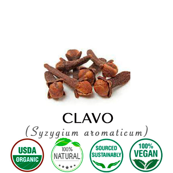 Miniatura: CLAVO