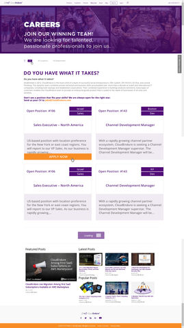 Company Website Career List.jpeg