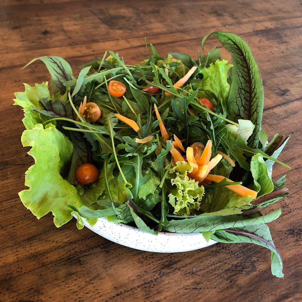 Prática e funcional, a salada agroecológica está pronta é só temperar