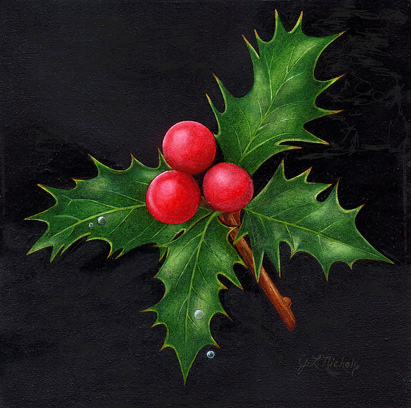 Christ-Thorn for Card.tif