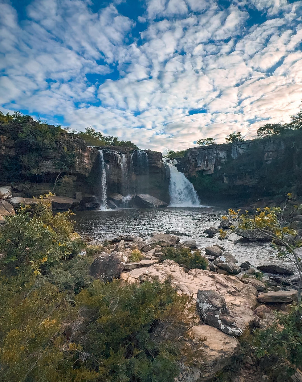 WhatsApp Image 2026-02-10 at 12.30.23.jpeg