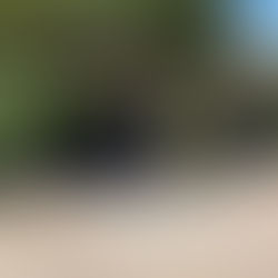 Día del Veterano y de los Caídos en la Guerra de Malvinas.