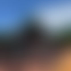 Olimpíadas empresariales