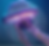 roadmap.png