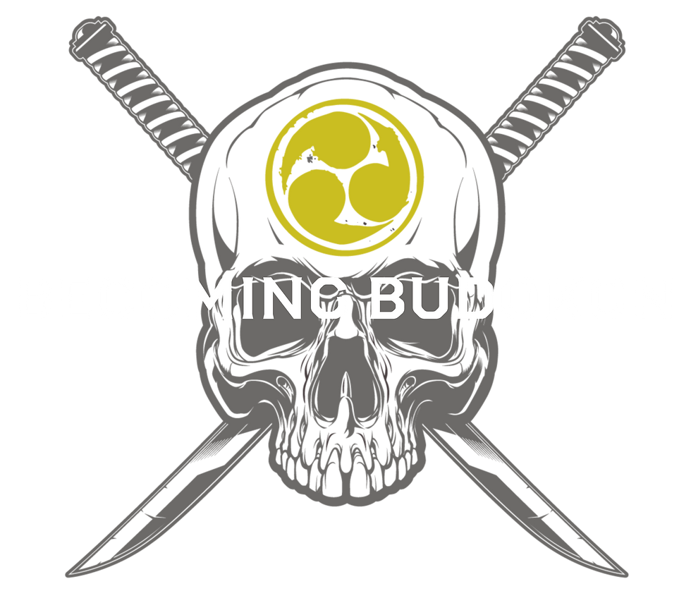 becoming budokon.png