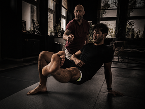 ANIMAL MOVES · MOBILITY · BUDOKON YOGA