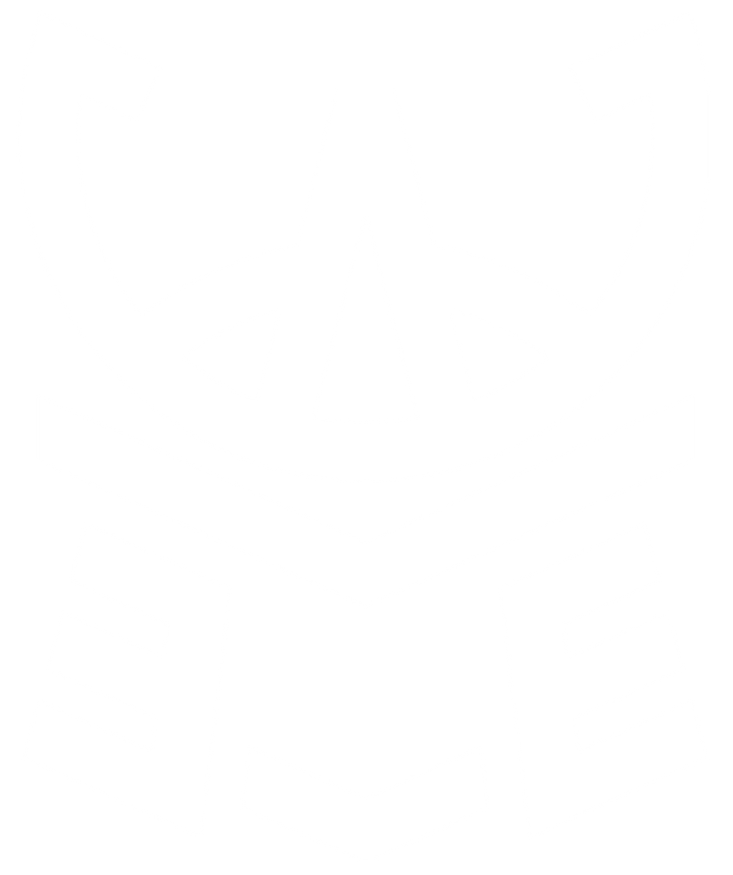 logo dojo samurai.png