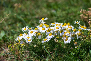 IMG_3501 copy_edited.jpg