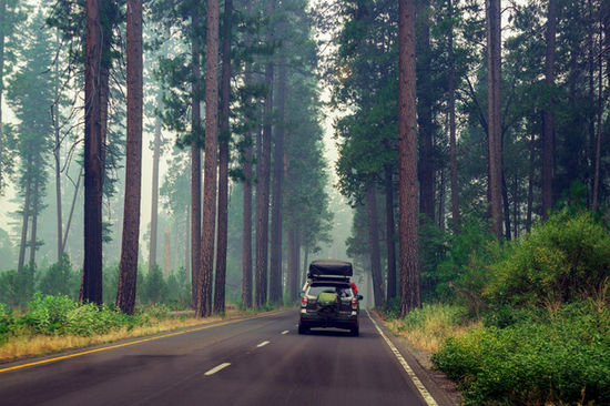 Road trip in Yosemite Valley