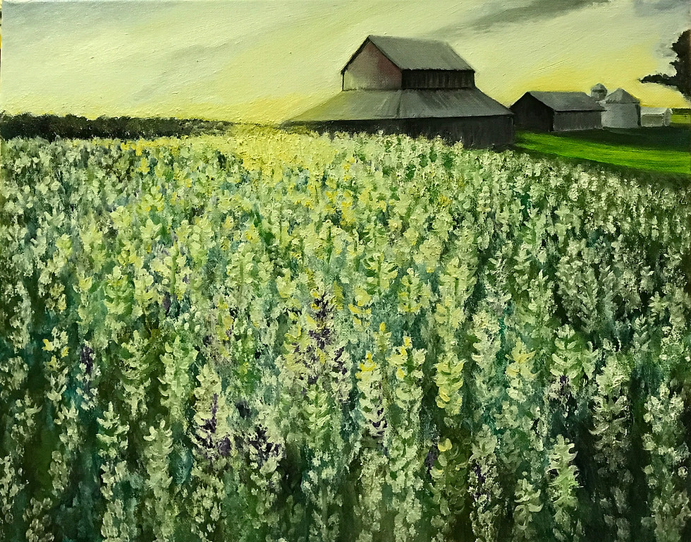 Clary Sage painting
