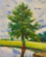 NCCypress.jpeg, cypress, nc, oil painting